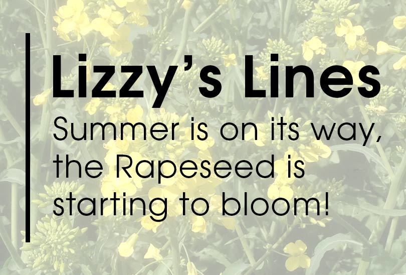 Blooming Rapeseed!
