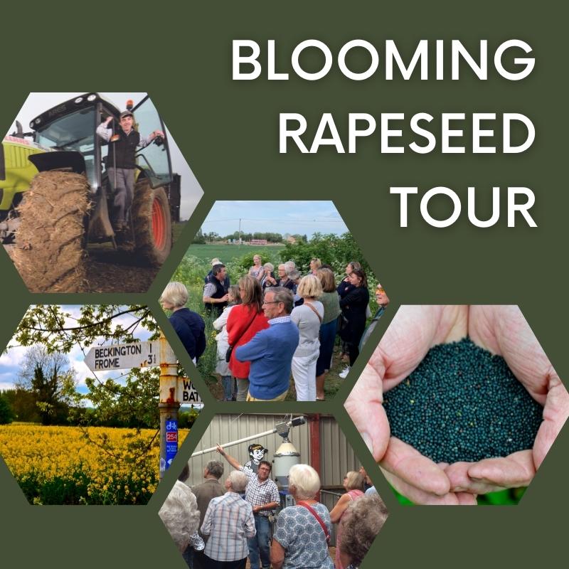 Blooming Rapeseed Tour | Fri. 10th May 2024