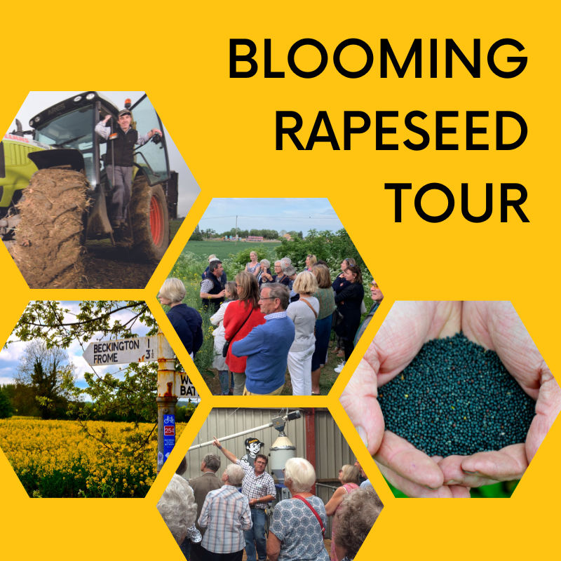 Blooming Rapeseed Tour | Fri. 9th May 2025