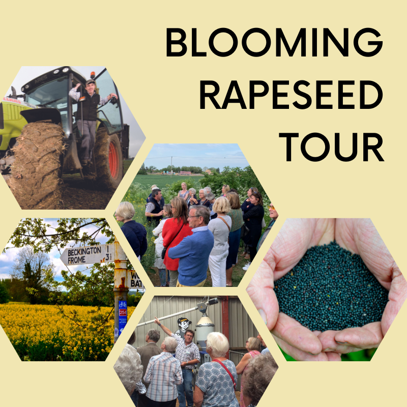 Blooming Rapeseed Tour | Fri. 26th May 2023